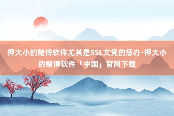 押大小的赌博软件尤其是SSL文凭的惩办-押大小的赌博软件「中国」官网下载