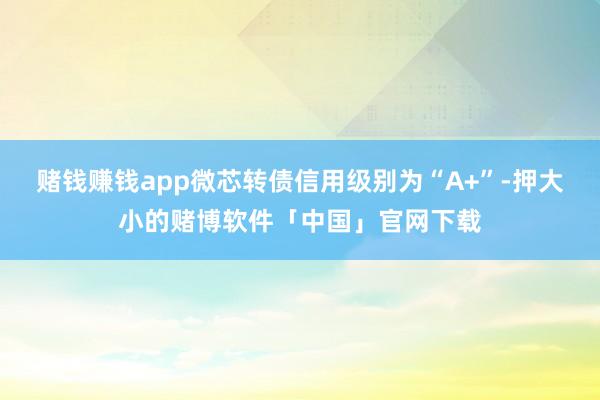 赌钱赚钱app微芯转债信用级别为“A+”-押大小的赌博软件「中国」官网下载