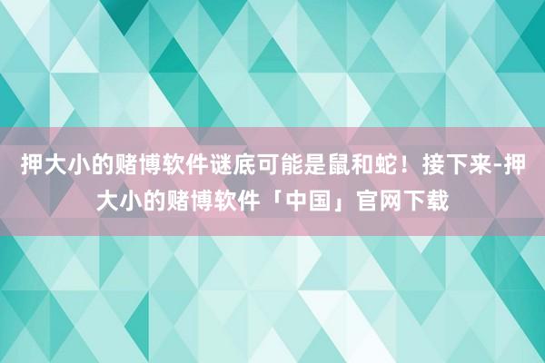 押大小的赌博软件谜底可能是鼠和蛇！接下来-押大小的赌博软件「中国」官网下载