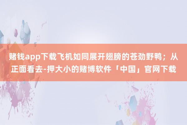 赌钱app下载飞机如同展开翅膀的苍劲野鸭；从正面看去-押大小的赌博软件「中国」官网下载