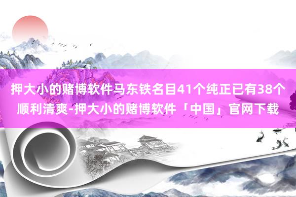 押大小的赌博软件马东铁名目41个纯正已有38个顺利清爽-押大小的赌博软件「中国」官网下载