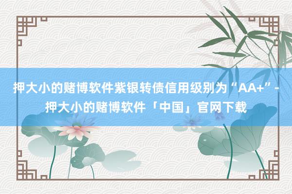 押大小的赌博软件紫银转债信用级别为“AA+”-押大小的赌博软件「中国」官网下载